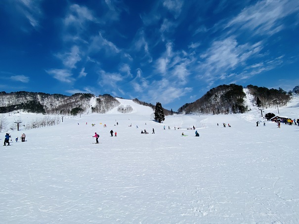 自分が偉い?横柄な勘違い係長の鼻をへし折って改心してもらう